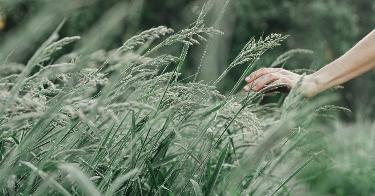 découvrez notre section dédiée à la bio, où nous vous proposons des informations approfondies sur nos auteurs, leurs parcours, et leurs inspirations. plongez dans les récits de vie fascinants et les réalisations qui façonnent leur univers créatif.