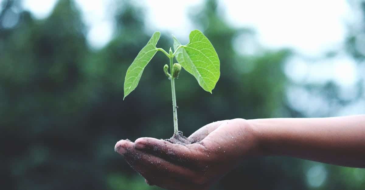 découvrez des stratégies efficaces pour stimuler la croissance de votre entreprise. apprenez comment optimiser vos opérations, augmenter votre clientèle et maximiser vos bénéfices grâce à des conseils pratiques et des études de cas.