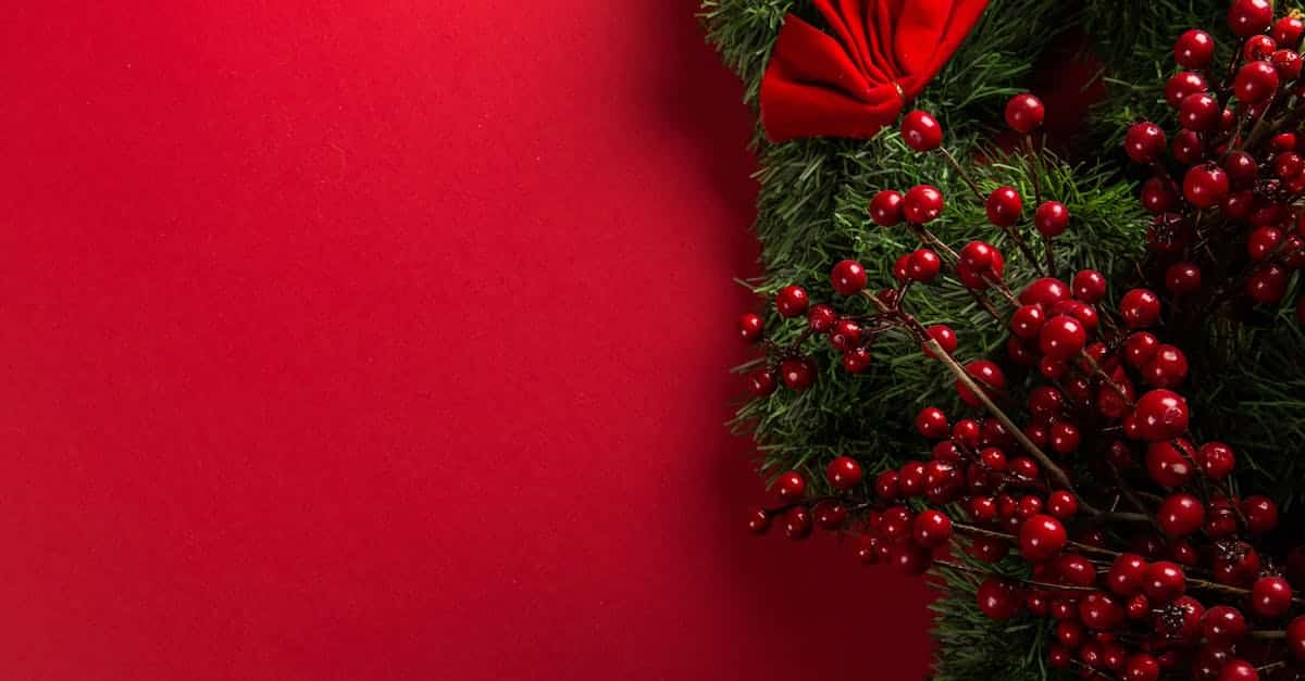 participez à notre concours de noël et tentez de gagner des cadeaux incroyables ! rejoignez la magie des fêtes en vous inscrivant dès maintenant et partagez la joie avec vos proches. ne manquez pas cette chance festive !