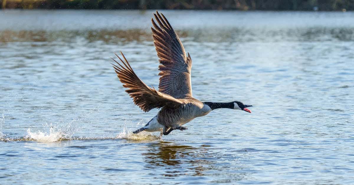 Tout savoir sur le Data Lake : Définition, atouts et limites pour optimiser votre stratégie big data 2 découvrez comment un data lake peut révolutionner la gestion et l'analyse de vos données. apprenez à stocker et traiter efficacement de grandes quantités d'informations pour en extraire des insights précieux et améliorer la prise de décisions dans votre entreprise.