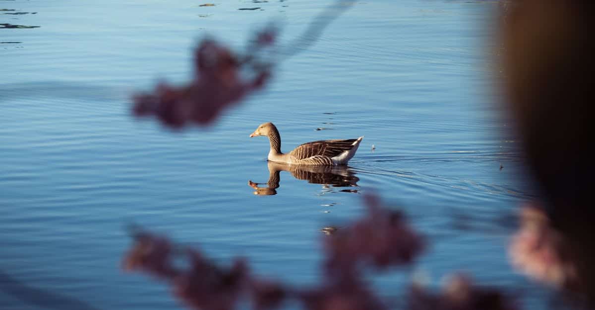 découvrez le concept de data lake, une solution de stockage de données volumineuses qui permet d'intégrer, de traiter et d'analyser des données brutes à partir de différentes sources. optimisez vos analyses et prenez des décisions éclairées grâce à une gestion efficace de vos données!