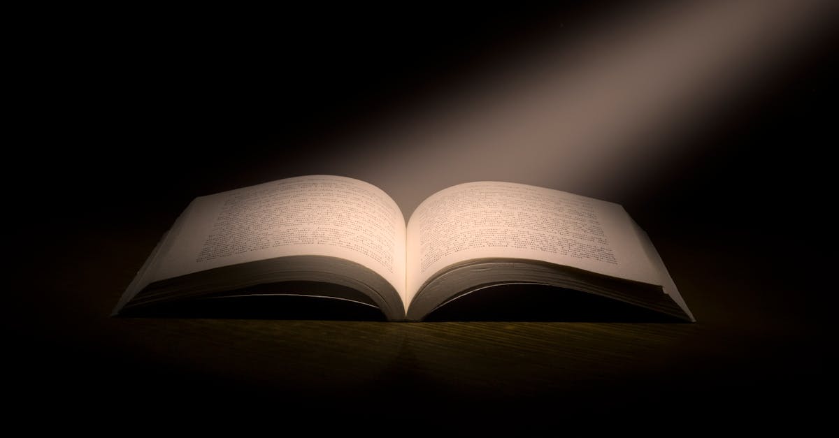découvrez comment optimiser et personnaliser vos pages d'erreur pour améliorer l'expérience utilisateur sur votre site web. apprenez à créer des pages 404 engageantes et informatives qui gardent vos visiteurs sur la bonne voie.