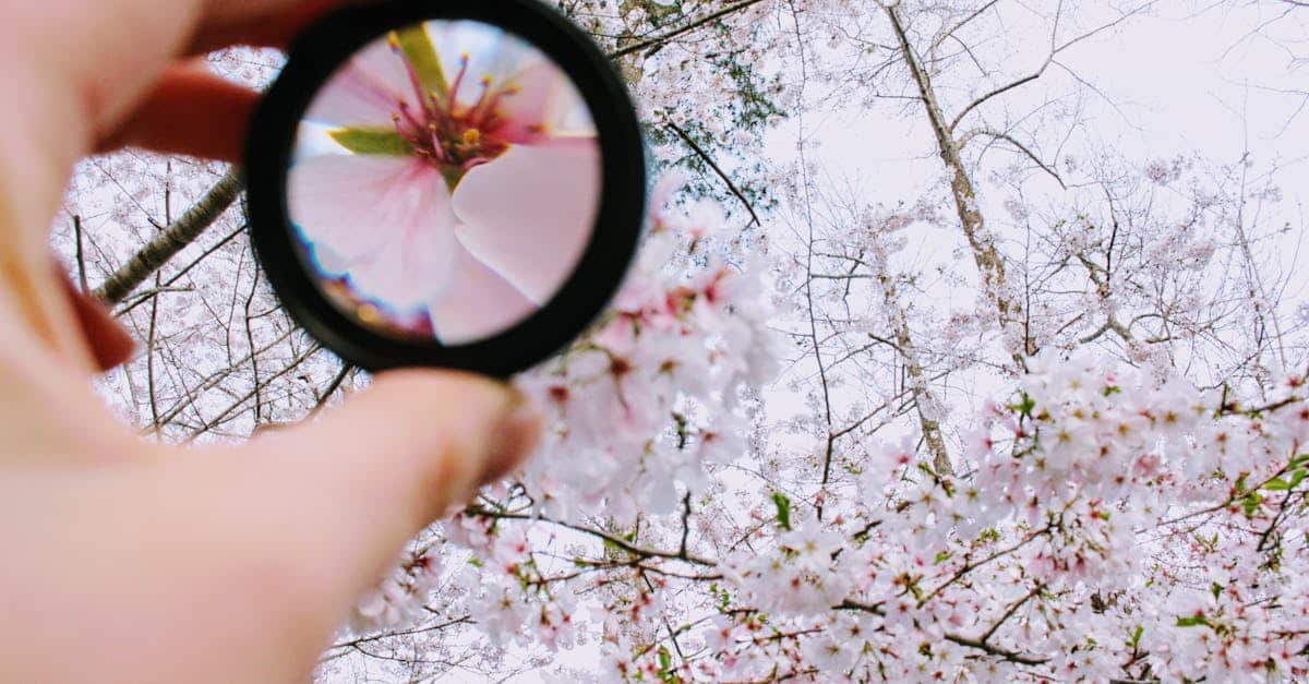 plongez dans l'essence du 'focus' : découvrez comment cultiver une concentration optimale, booster votre productivité et atteindre vos objectifs avec des conseils pratiques et des stratégies efficaces.