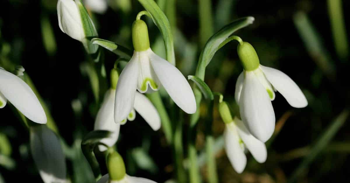 Growth Hacking : Découverte du cadre stratégique AARRR 2 découvrez le growth hacking, une approche innovante qui utilise des techniques créatives et analytiques pour stimuler la croissance rapide des entreprises. apprenez à optimiser vos stratégies marketing et à tirer parti des données pour atteindre vos objectifs de manière efficace.