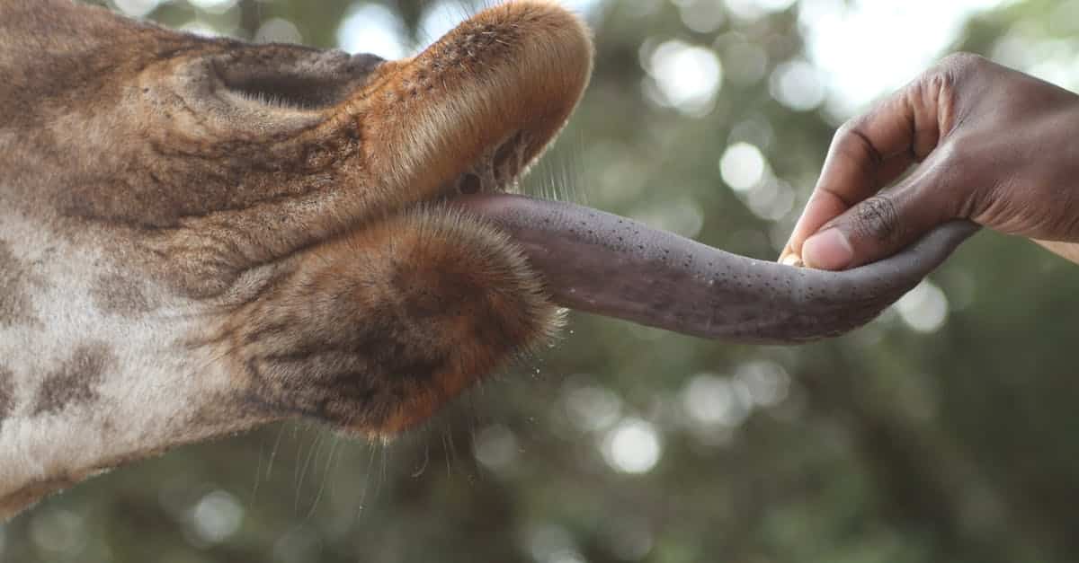 Tendances du Marketing : Top Hashtags à Suivre sur Twitter en 2025 1 découvrez l'univers fascinant des hashtags ! apprenez comment les utiliser efficacement pour maximiser l'engagement sur vos publications et optimiser votre présence sur les réseaux sociaux. explorez des stratégies créatives et des conseils pratiques pour tirer le meilleur parti de chaque hashtag.