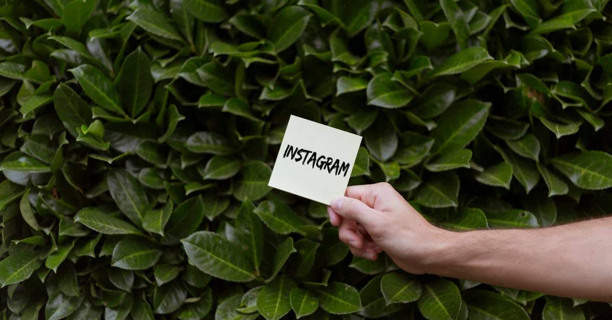 Instagram : Le Guide Essentiel pour Optimiser Votre Stratégie Marketing