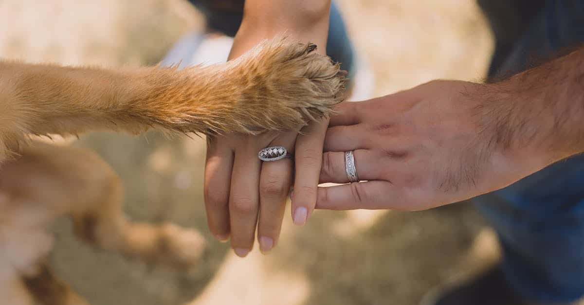 découvrez notre programme de fidélité exclusif qui récompense vos achats et vous offre des avantages uniques. inscrivez-vous dès aujourd'hui pour profiter de réductions, d'offres spéciales et d'une expérience client inégalée !