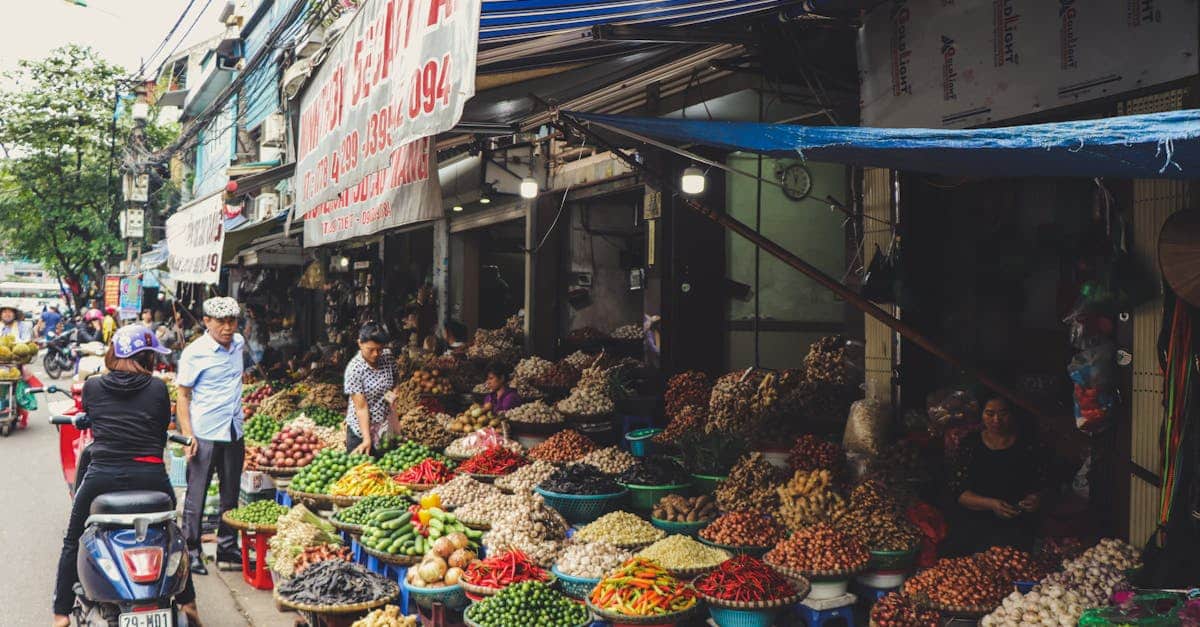 Lancer votre propre marketplace en 12 étapes essentielles 3 découvrez notre marketplace, un espace unique où vous pouvez acheter et vendre une multitude de produits. profitez d'offres exclusives, d'une large sélection de marques et d'un service client de qualité. rejoignez-nous pour vivre une expérience d'achat en ligne inégalée.