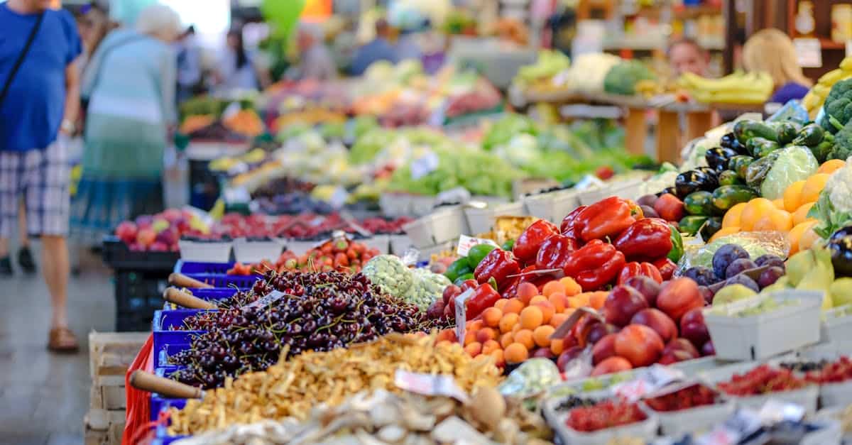 étapes clés pour lancer votre propre plateforme de marché
