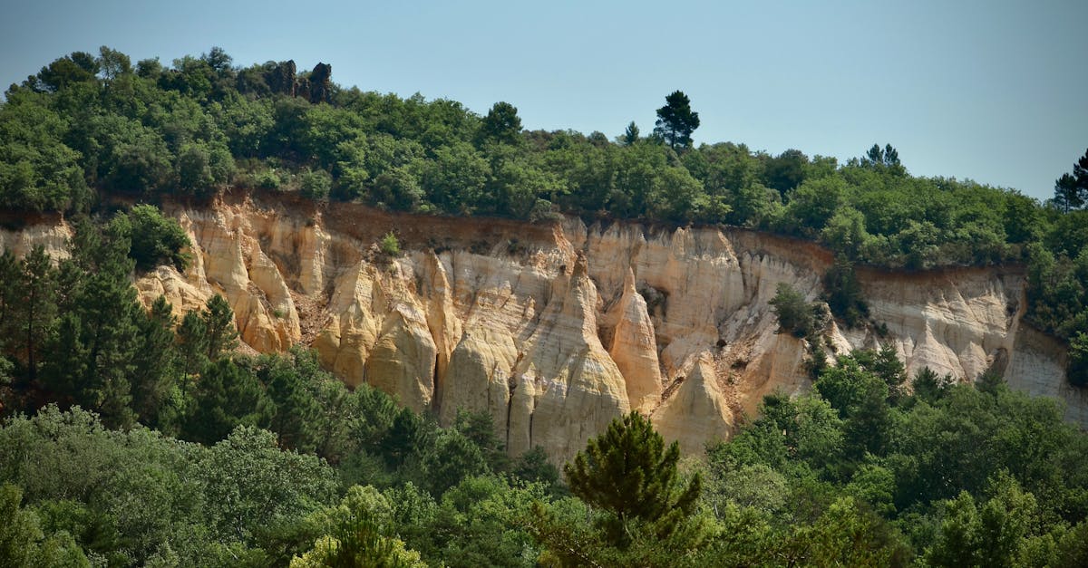 Top des logiciels de Reconnaissance Optique des Caractères (OCR) : Sélection des meilleures solutions disponibles 1 découvrez l'ocr (reconnaissance optique de caractères) : une technologie innovante qui convertit des images de texte en données numériques, facilitant l'édition, la recherche et l'archivage d'informations. transformez vos documents papier en fichiers accessibles et modifiables grâce à l'ocr.