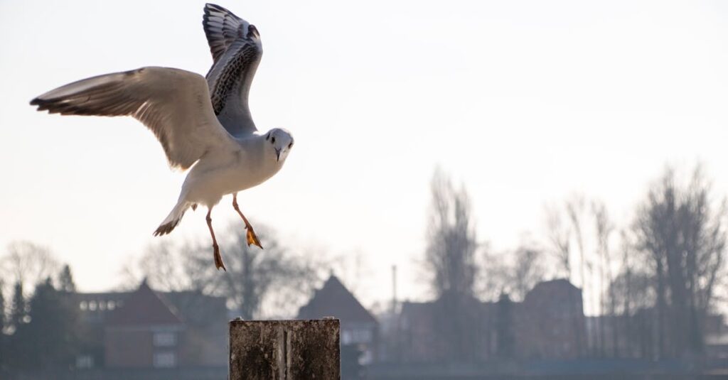 Les clés d'une migration SEO réussie pour votre site web 1 découvrez comment réussir votre migration seo en toute sérénité. apprenez les étapes clés pour optimiser votre site lors d'un changement de domaine ou de structure, afin de préserver votre visibilité sur les moteurs de recherche et d'améliorer votre trafic.