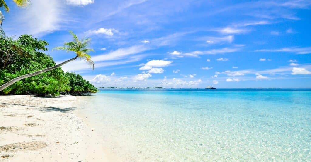 Vacances : 9 astuces pour faire une pause et déconnecter du quotidien professionnel 7 découvrez des idées inspirantes pour vos prochaines vacances : destinations de rêve, conseils pratiques et astuces pour profiter pleinement de votre temps libre. préparez-vous à vivre des moments inoubliables !