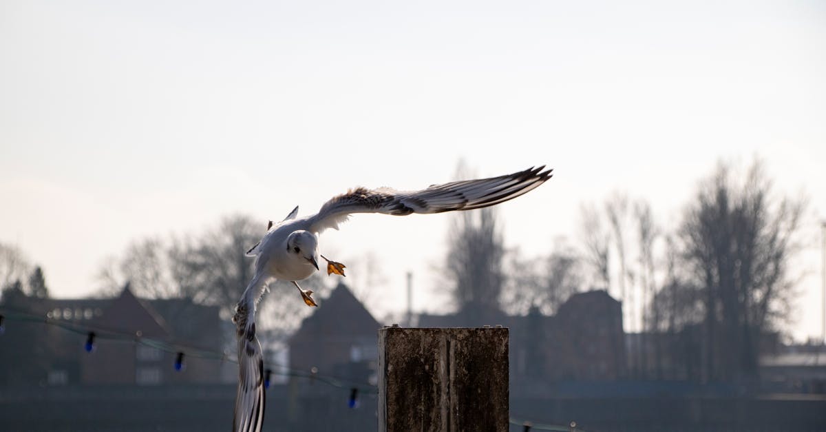 Cinq outils indispensables pour faciliter la migration de votre site WordPress 2 découvrez les meilleurs outils de migration pour wordpress, simplifiant le transfert de votre site vers un nouvel hébergeur ou une nouvelle plateforme. optimisez votre processus de migration et garantissez la sécurité et la performance de votre site web.